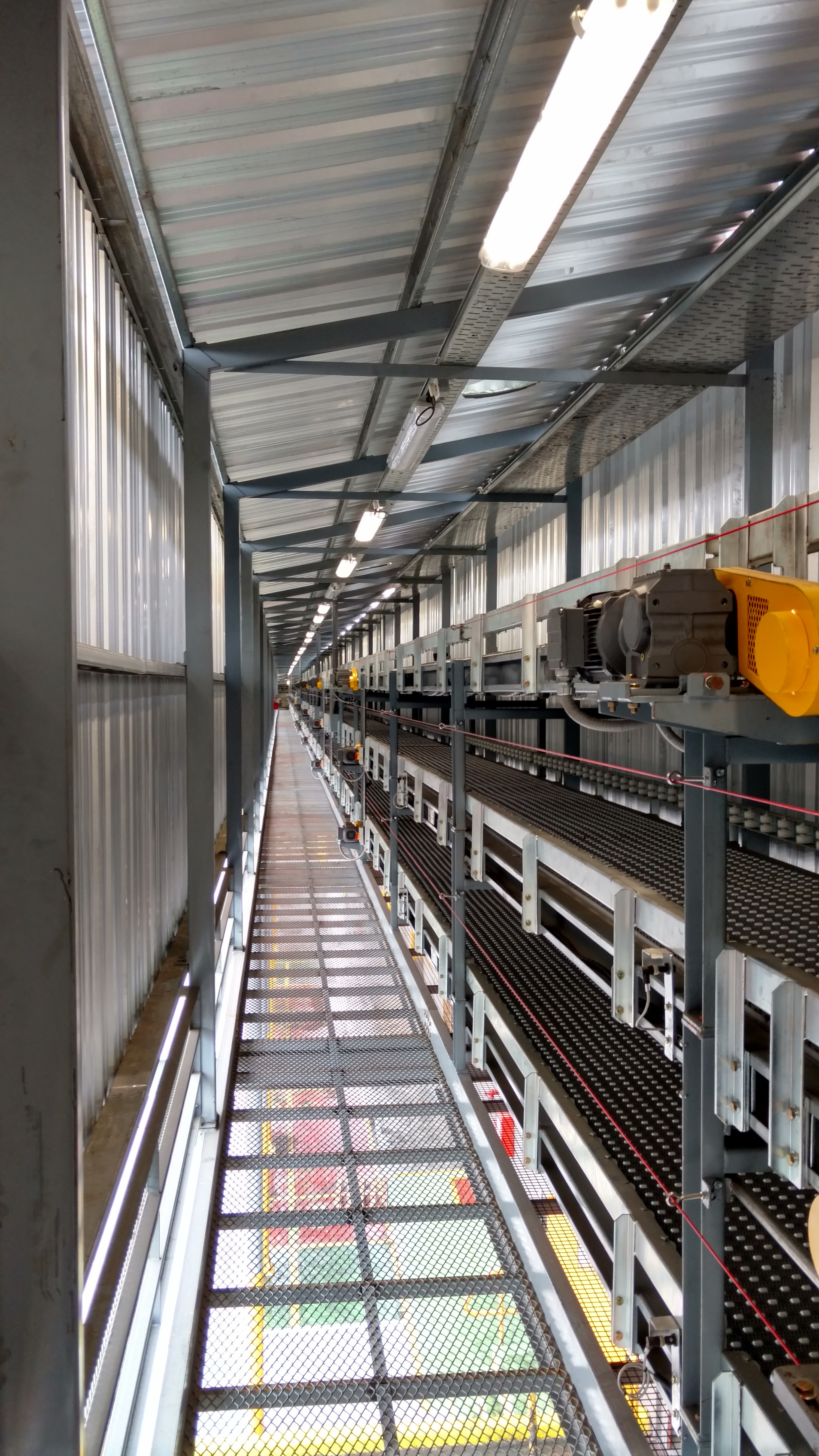 Cintas Transportadoras